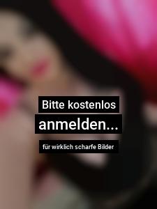 Ganz neu °°Darina °- BRANDNEU! 0155-10497846