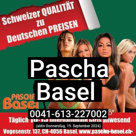 Pascha aus Basel