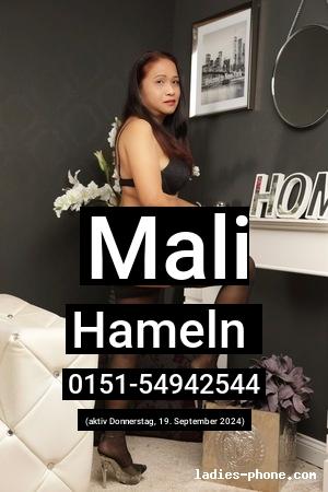 Mali aus Hameln