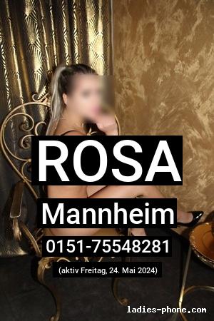 Rosa aus Mannheim