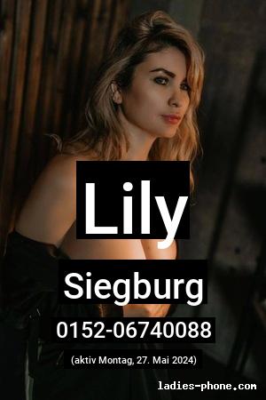 Lily aus Siegburg