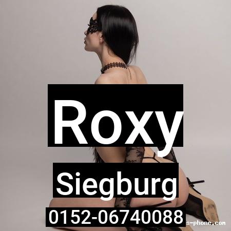 Roxy aus Siegburg