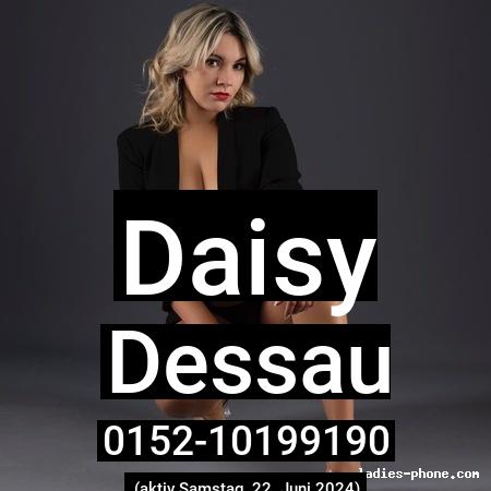 Daisy aus Dessau