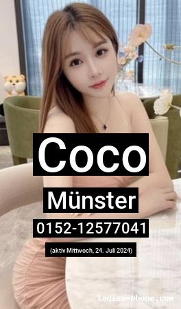 Coco aus Aachen