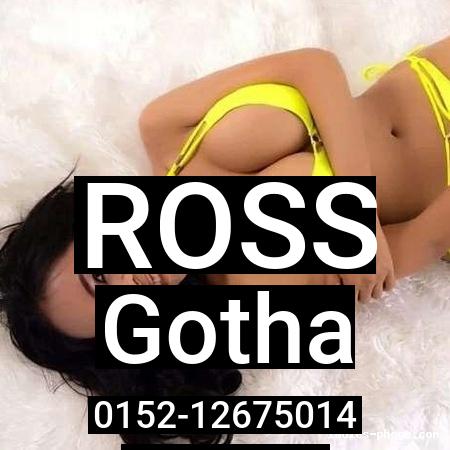 Ross aus Gotha