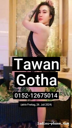 Tawan aus Gotha