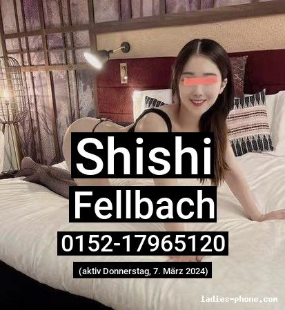 Shishi aus Trossingen