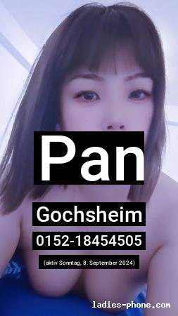 Pan aus Göttingen