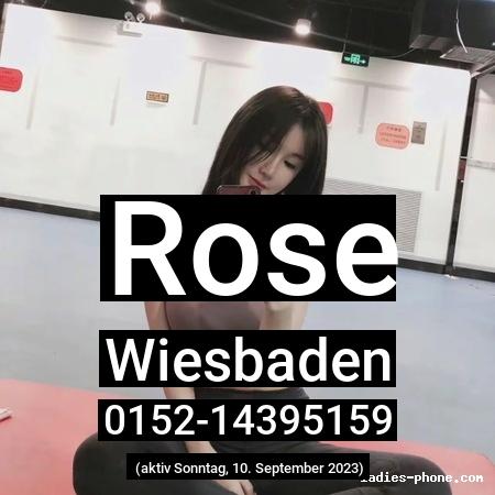 Rose aus Wiesbaden