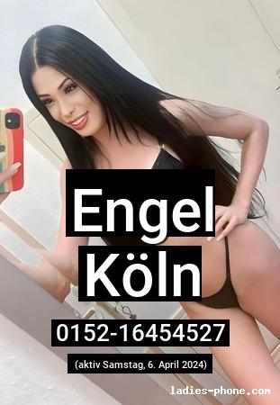 Engel aus Köln