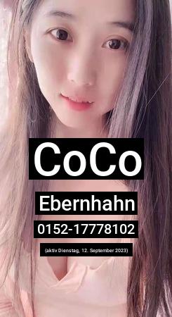 Coco aus Ebernhahn