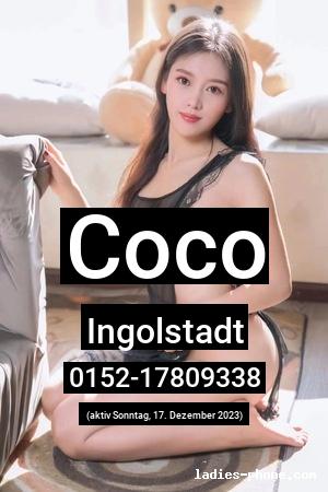 Coco aus Ingolstadt