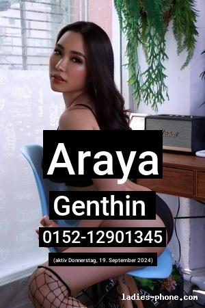 Araya aus Wismar