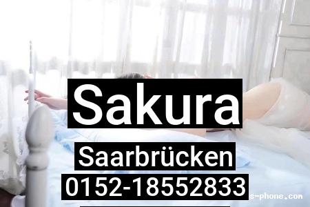 Sakura aus Saarbrücken