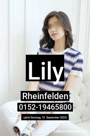 Lily aus Rheinfelden