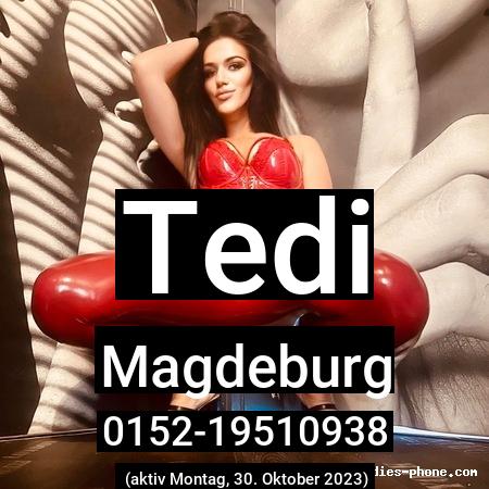 Tedi aus Magdeburg