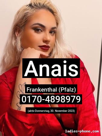 Anais aus Kassel