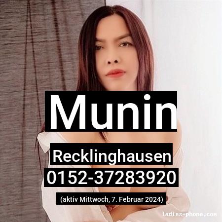 Munin aus Recklinghausen