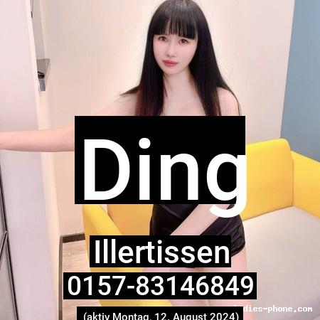 Ding aus Villingen-Schwenningen