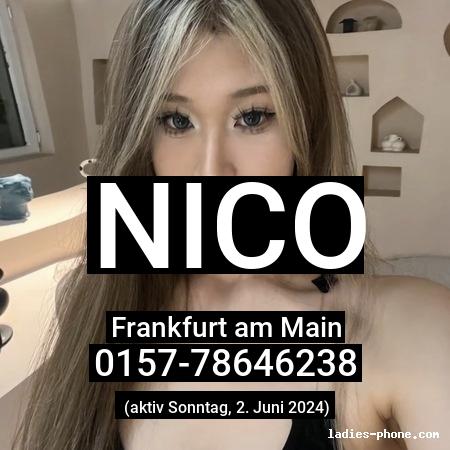 Nico aus Krefeld