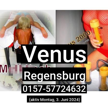 Venus aus Regensburg