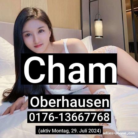 Cham aus Wolfsburg