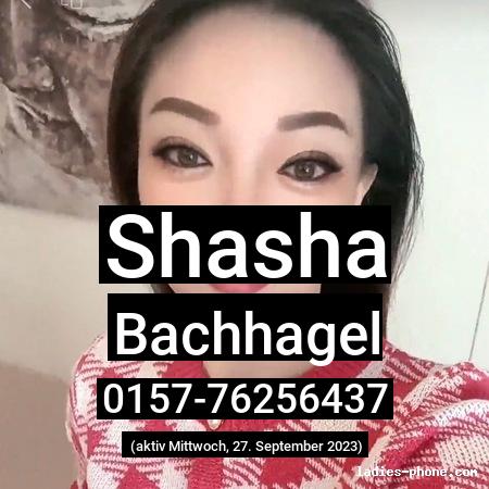 Shasha aus Bachhagel