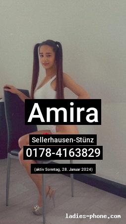 Amira aus Sellerhausen-Stünz