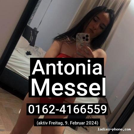 Antonia aus Messel