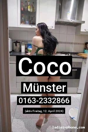 Coco aus Münster