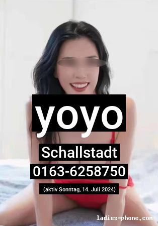 Yoyo aus Schallstadt