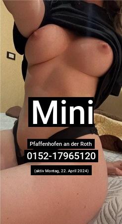 Mini aus Villingen-Schwenningen