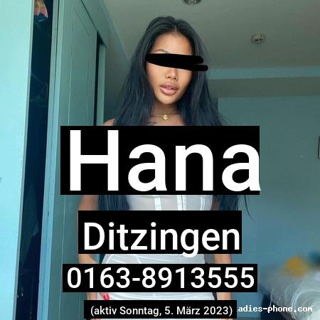 Hana aus Ditzingen