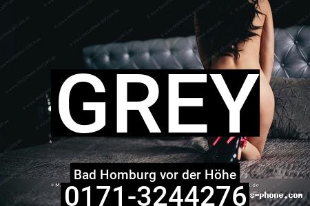 Grey aus Bad Homburg vor der Höhe