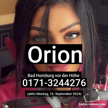 Orion aus Bad Homburg vor der Höhe