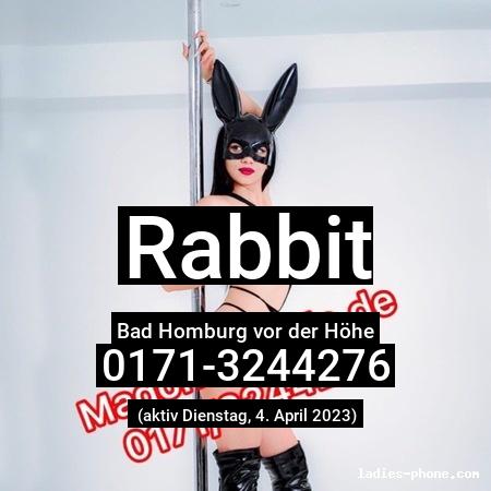 Rabbit aus Bad Homburg vor der Höhe