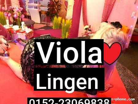 Viola aus Lingen