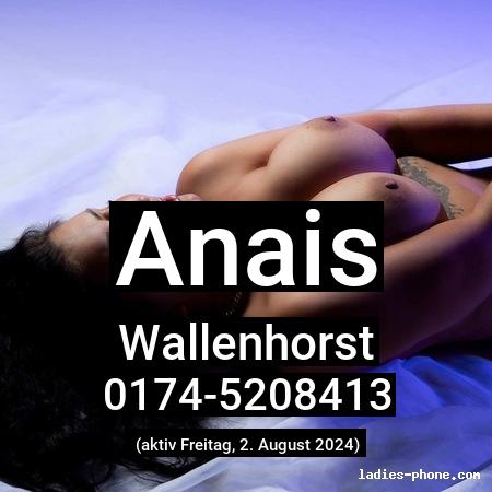 Anais aus Wallenhorst