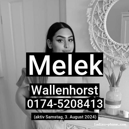 Melek aus Wallenhorst