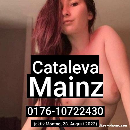 Cataleya aus Mainz