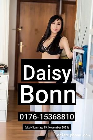 Daisy aus Bonn