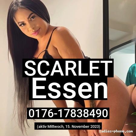 Scarlet aus Essen