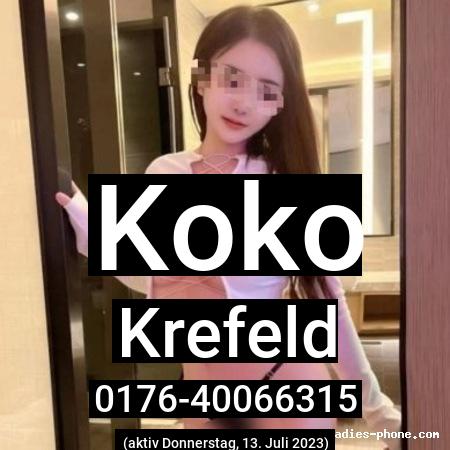 Koko aus Krefeld