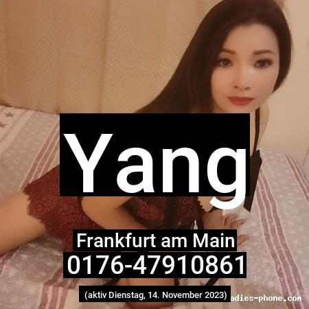 Yang aus Frankfurt am Main