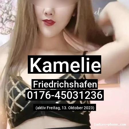 Kamelie aus Friedrichshafen