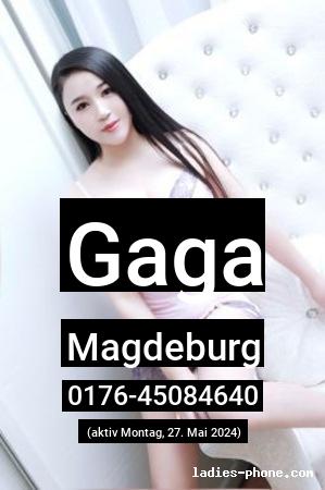 Gaga aus Magdeburg