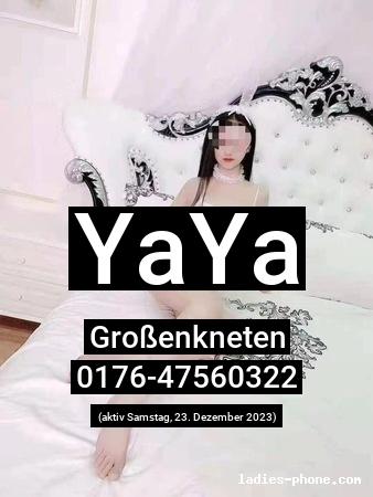 Yaya aus Großenkneten