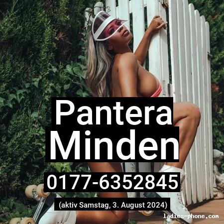 Pantera aus Minden