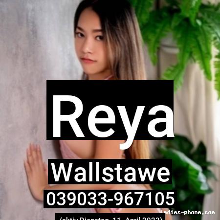 Reya aus Wallstawe