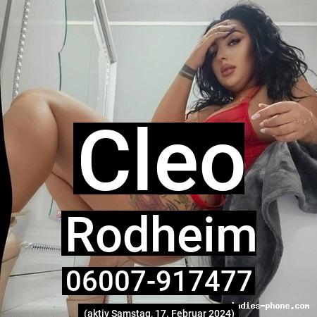 Cleo aus Rodheim